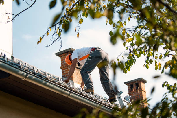 Best Storm Damage Roof Repair  in Oreana, IL