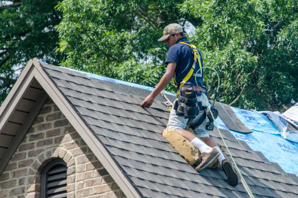 Best Roof Maintenance Services  in Oreana, IL